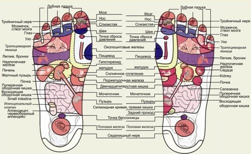 Массажер для стоп PRO – новейший и уникальный массажер, разработанный японскими специалистами Массажер для стоп PRO описание