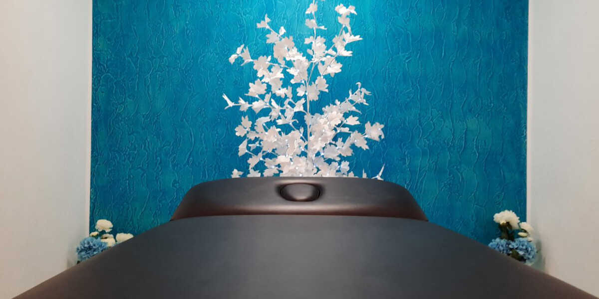 Кушетка массажная PR_007P Шоколад